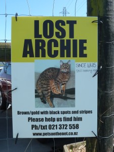 LOST ARCHIE